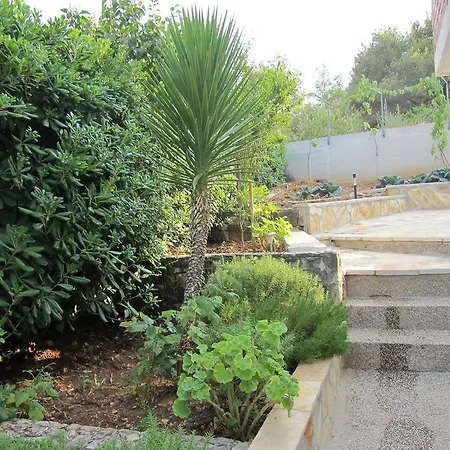 2 Palme
