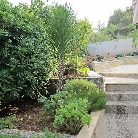 2 Palme