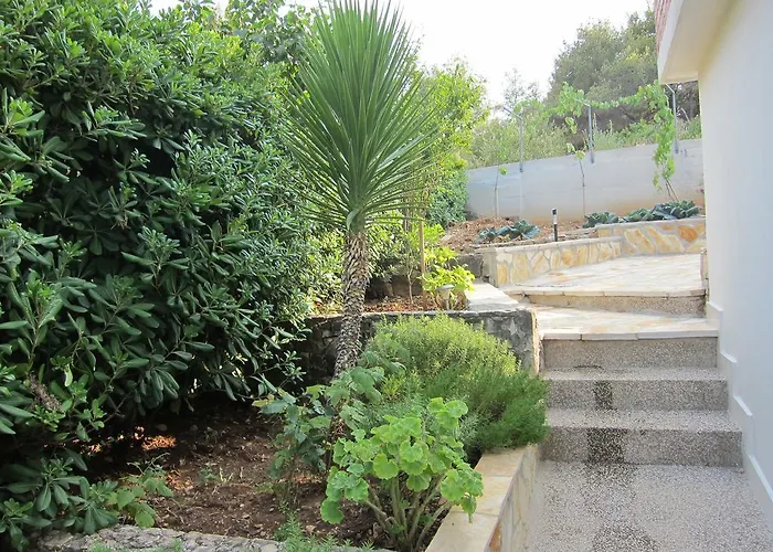 2 Palme